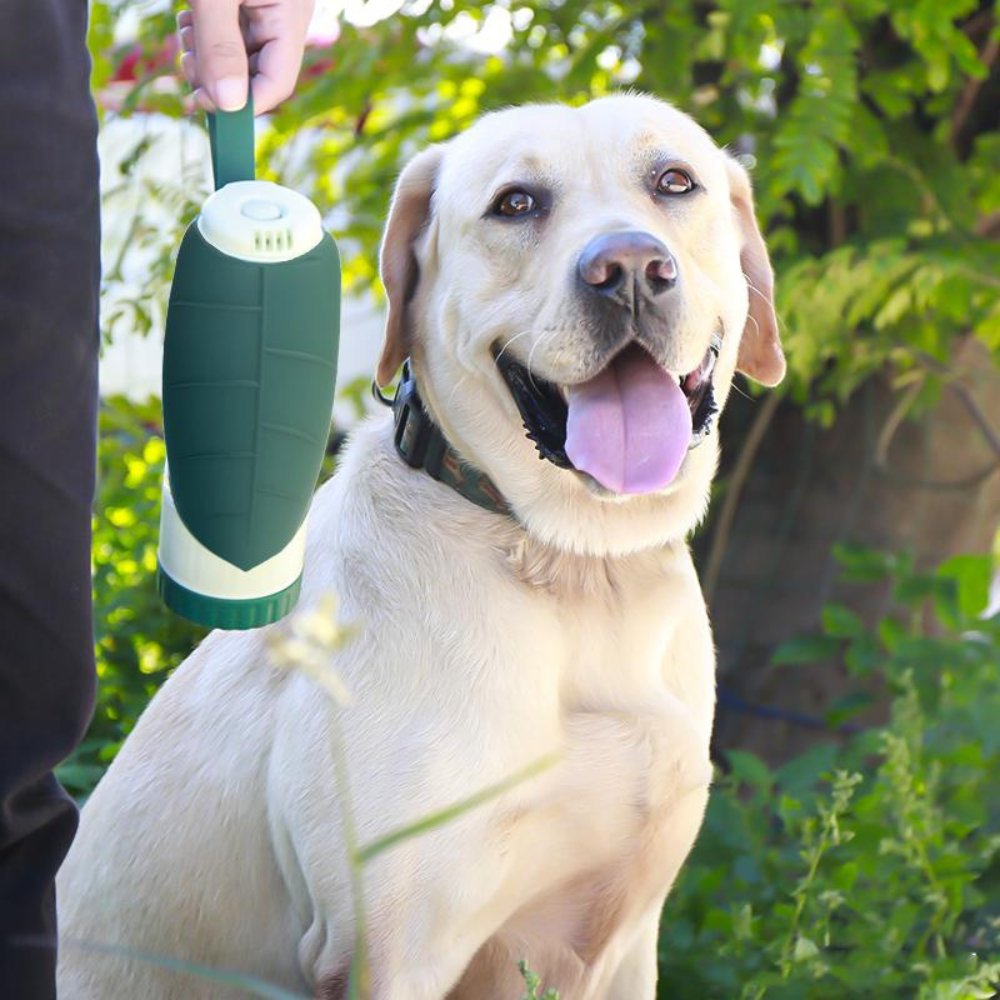 Hundflaskan | Perfekt flaska för promenader