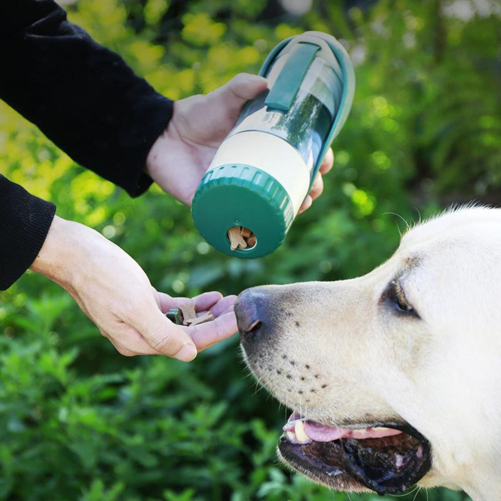 Hundflaskan | Perfekt flaska för promenader