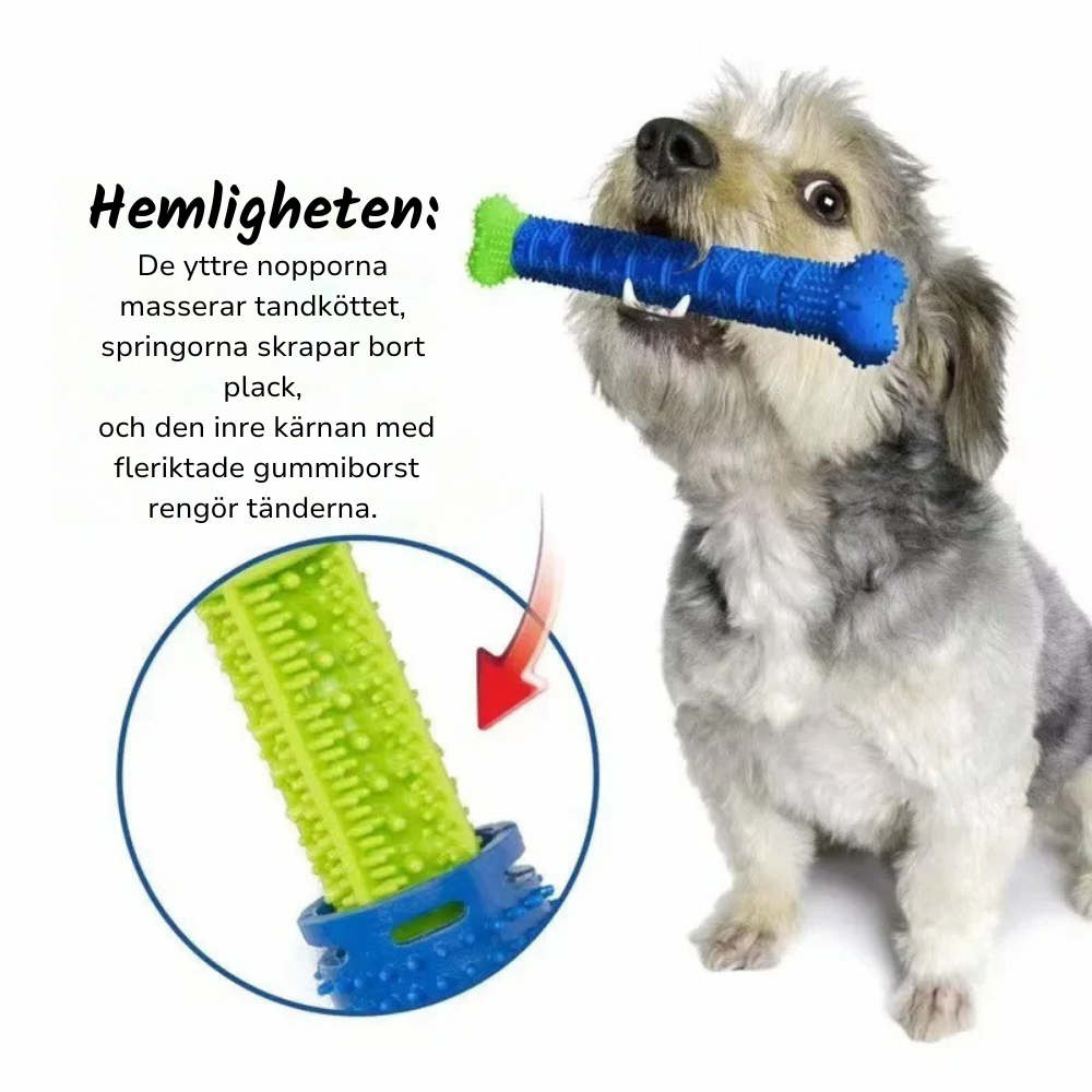 Dooglie | Rengörande tuggben